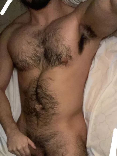 25, straight curious rugby player. Beefy and hairy, need a boy to show off his ass and hole for me. Underwear++ ADD: xxsustherxo