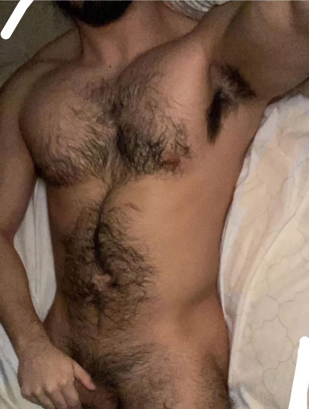 25, straight curious rugby player. Beefy and hairy, need a boy to show off his ass and hole for me. Underwear++ ADD: xxsustherxo