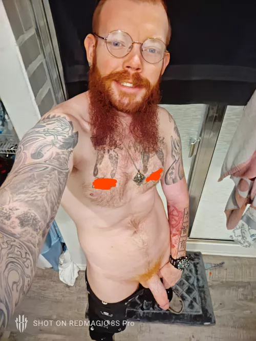 29 yr old Viking Bull, Texas (Open to Collaborate)