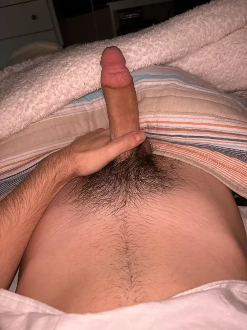 bouta have fun with my 🐈 18 yo