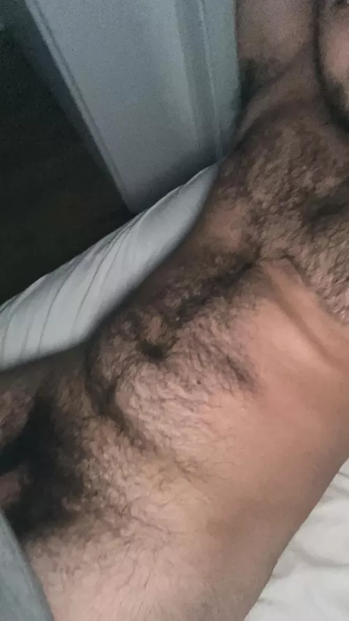 Chubby hairy dude here