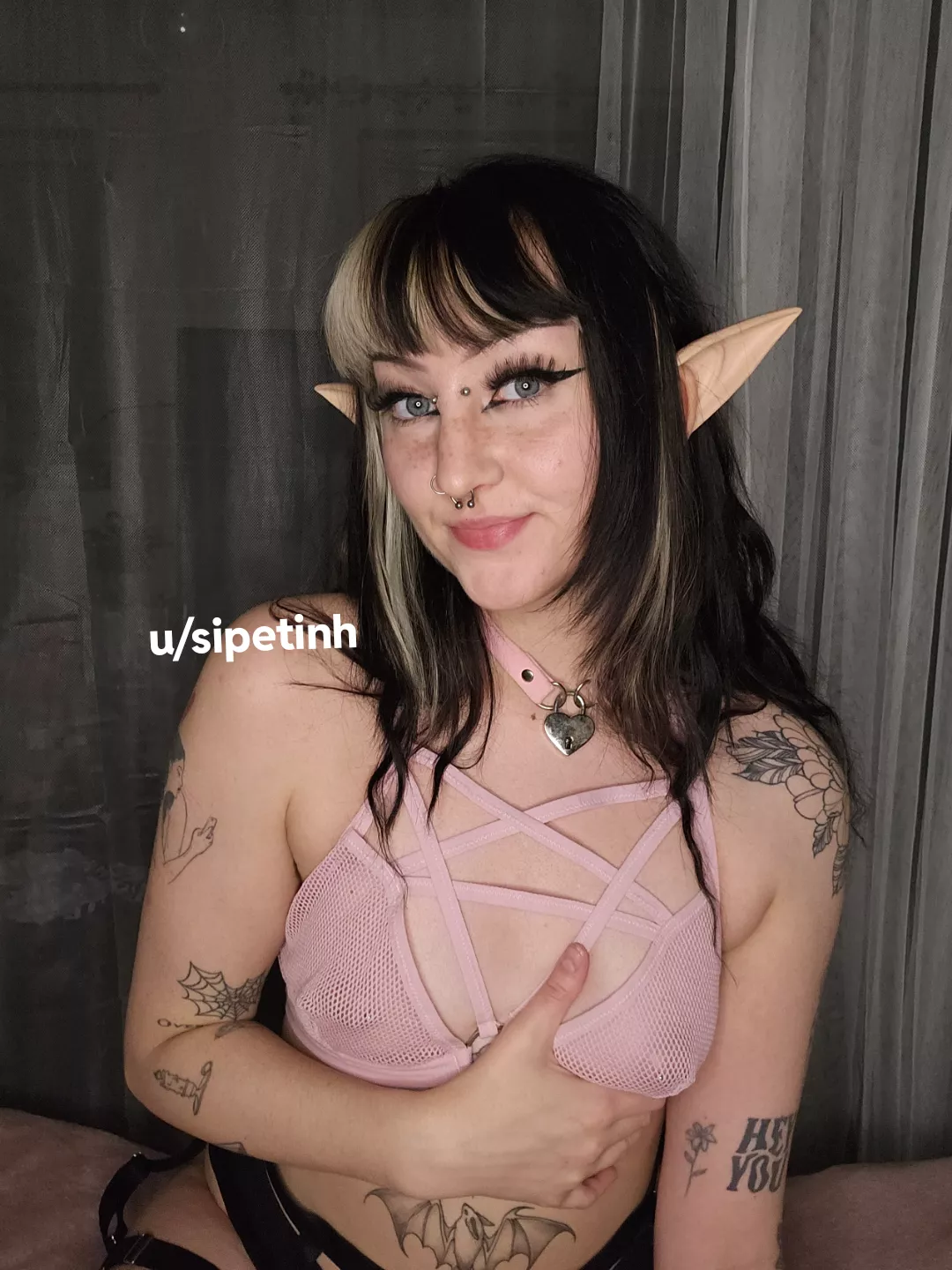 Cute ears, pretty face and a hairy pus—