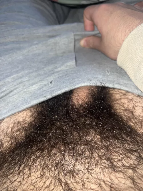 Do you like my bush?