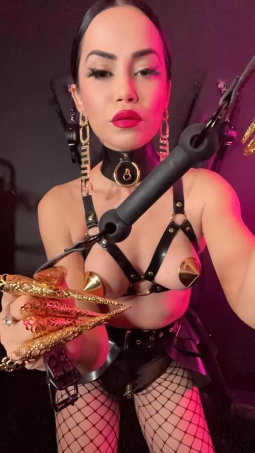 Embrace the intensity of controlled surrender in the hands of a professional.