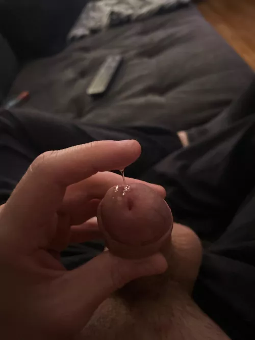 First post here. Am I doing it right??