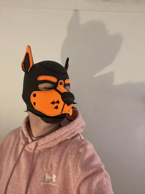 Happy Monday everyone! Shoutout to my lamp for this incredible picture haha