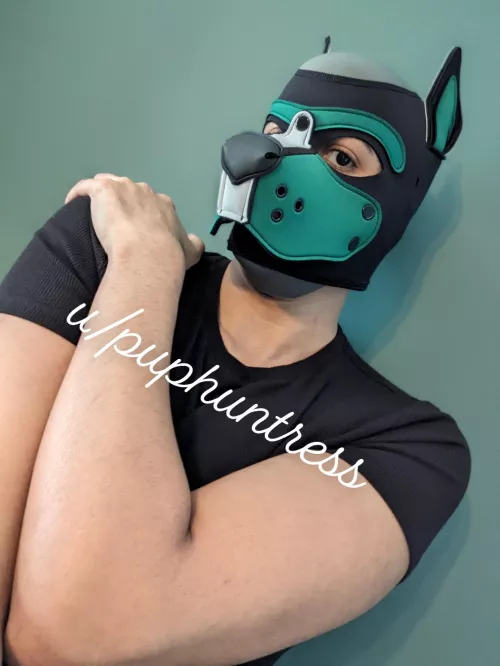 Hello, I'm Pup Huntress! 😊