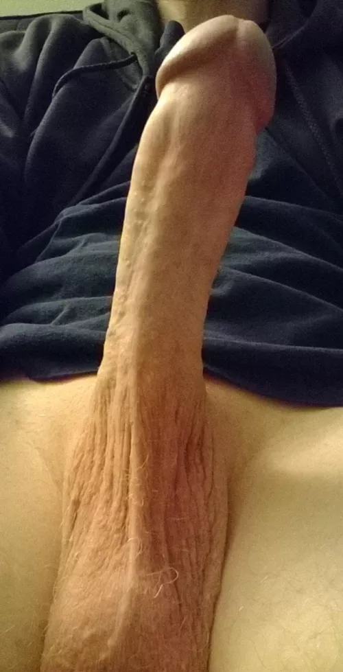 Husband's dick
