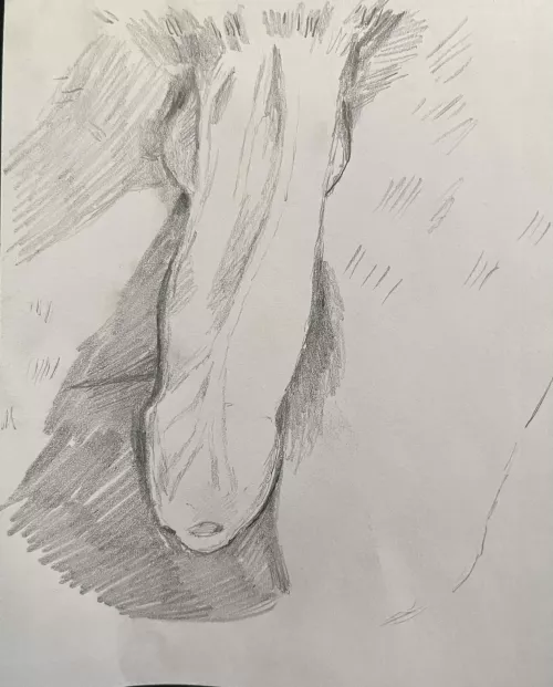 I can draw your dick