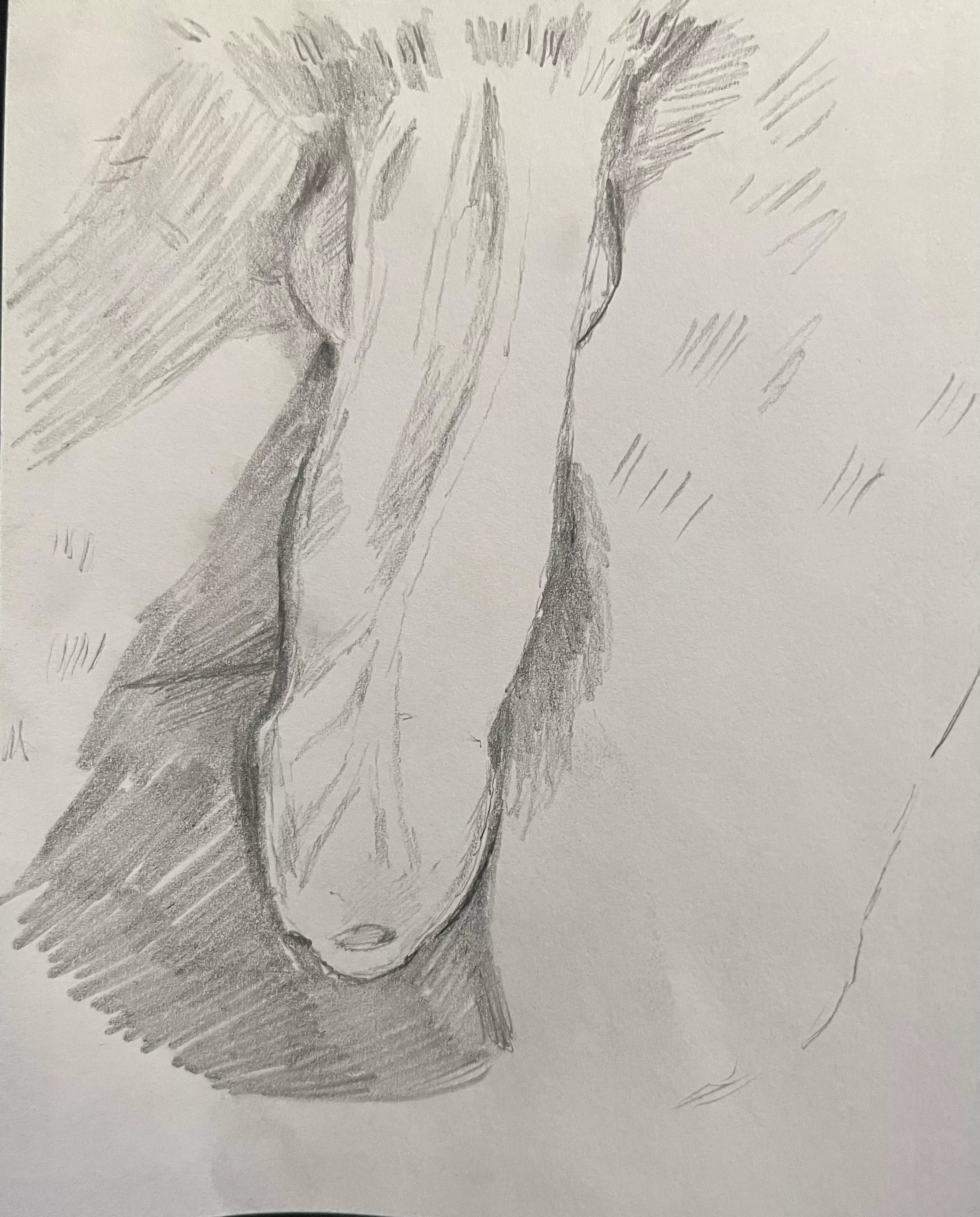 I can draw your dick