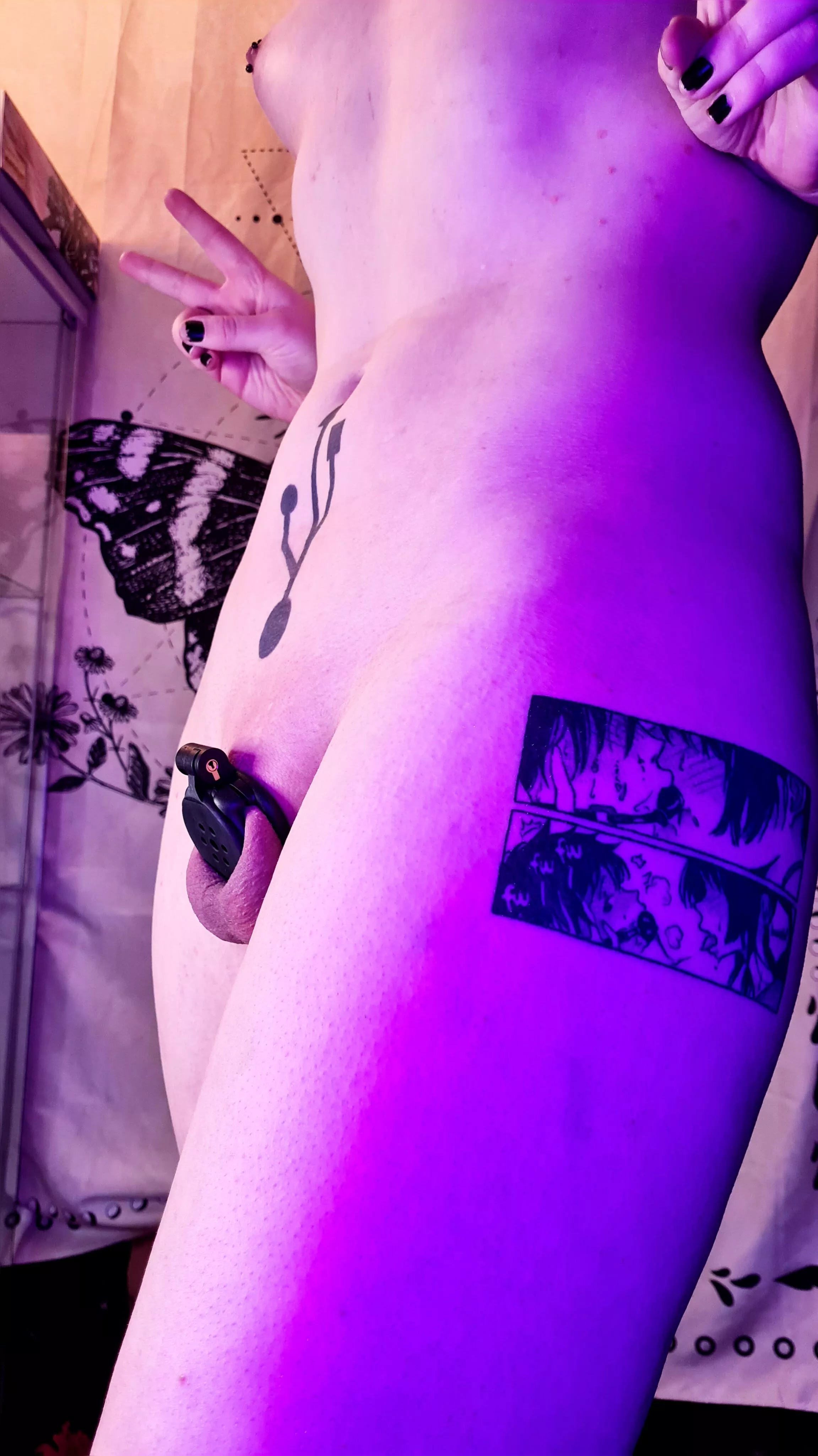 I finally got a flat cage