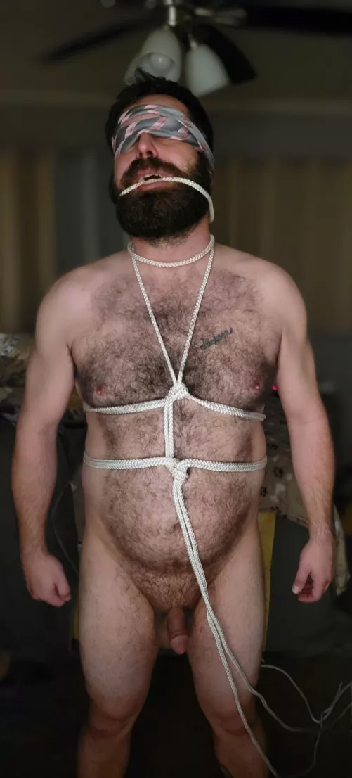 Just getting started with his tie down but this pic made me giggle.