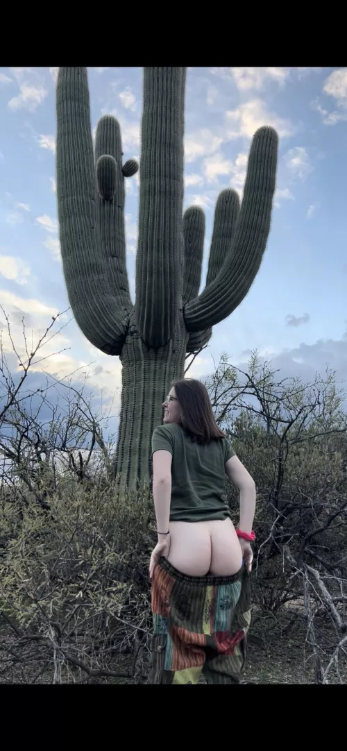 Let’s hide behind this 🌵