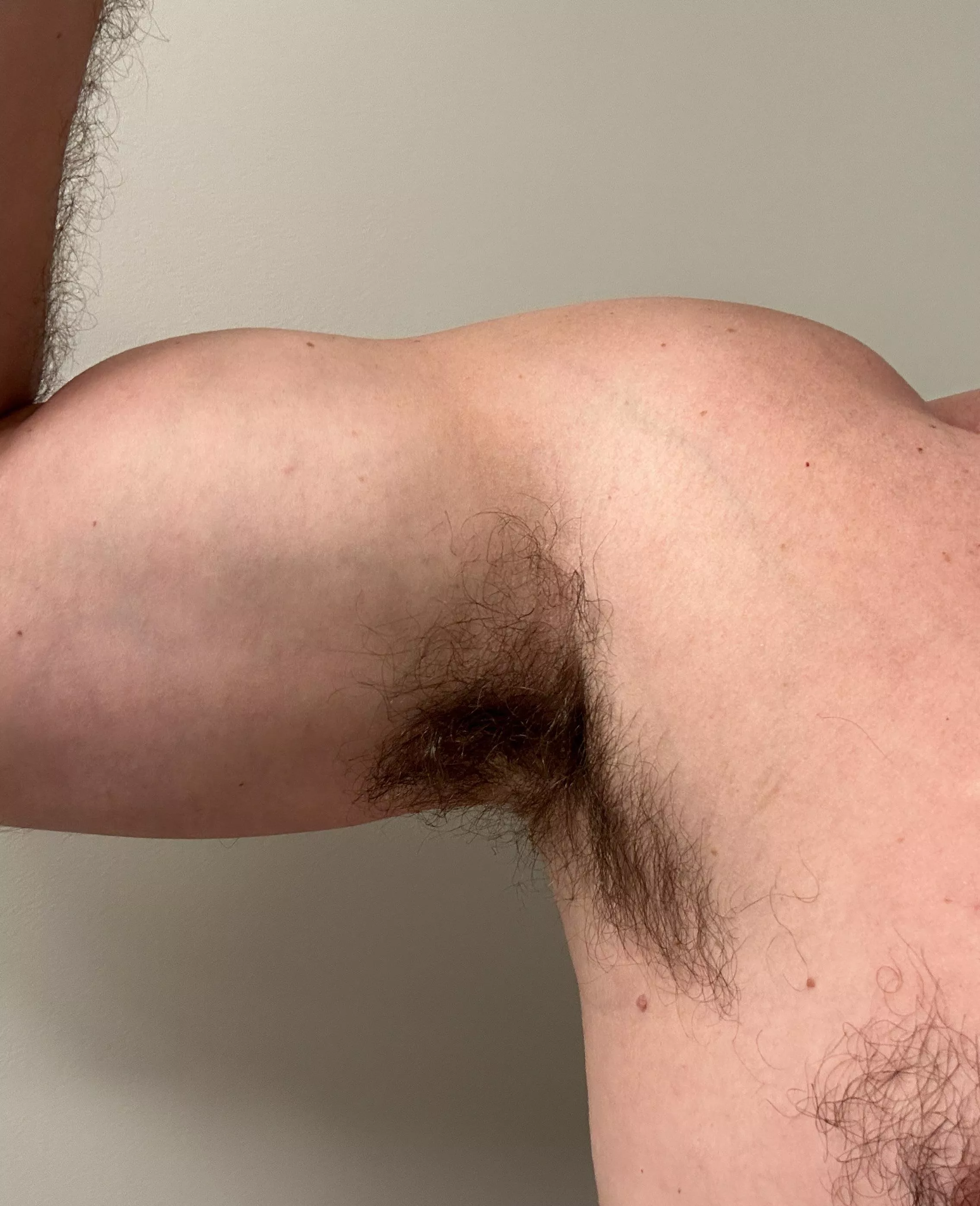 My buddy sniffed these this morning…