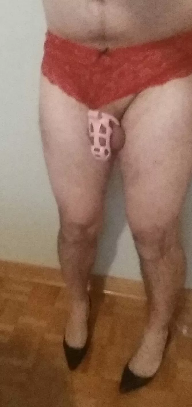 My family and friends would never guess I'm like this-ordered an even smaller cage!