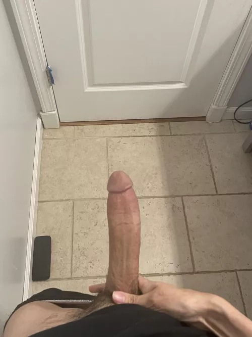My huge cock 🫡