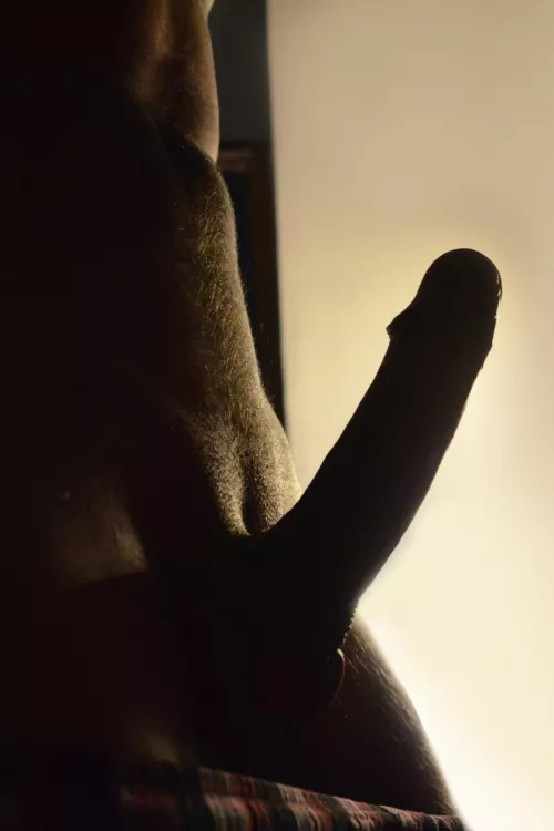 no need for any serious text here