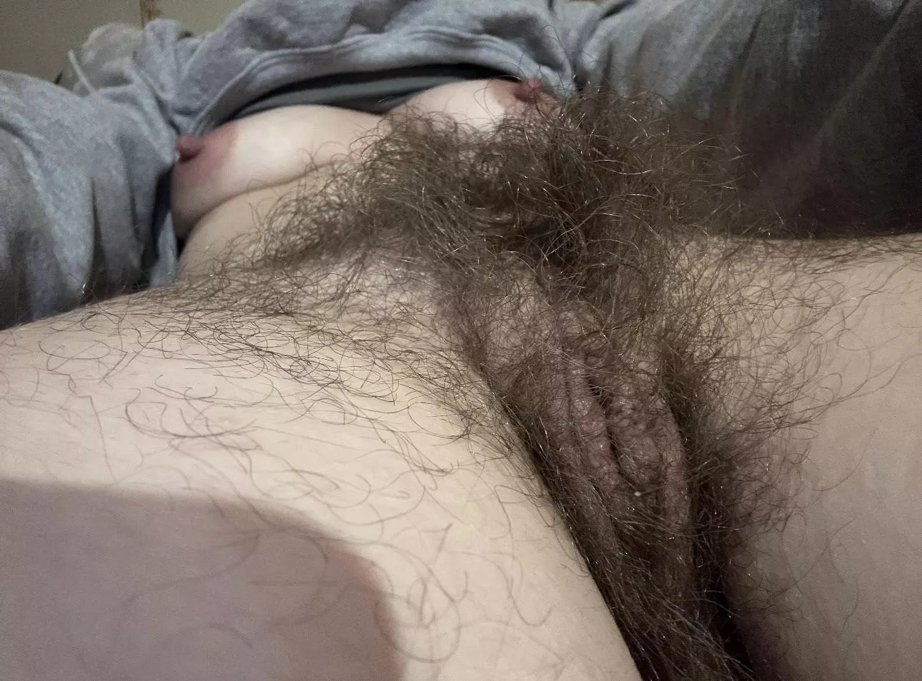 Not your average bush