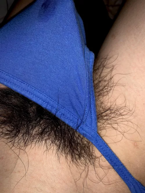 Seeing my pubes out of my briefs makes me wet 🥵