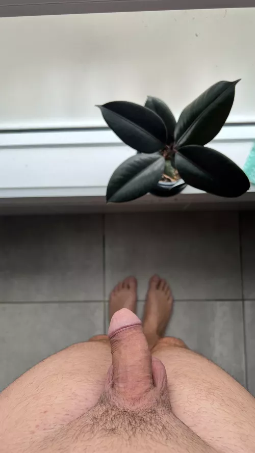 Watch me get hard by the window