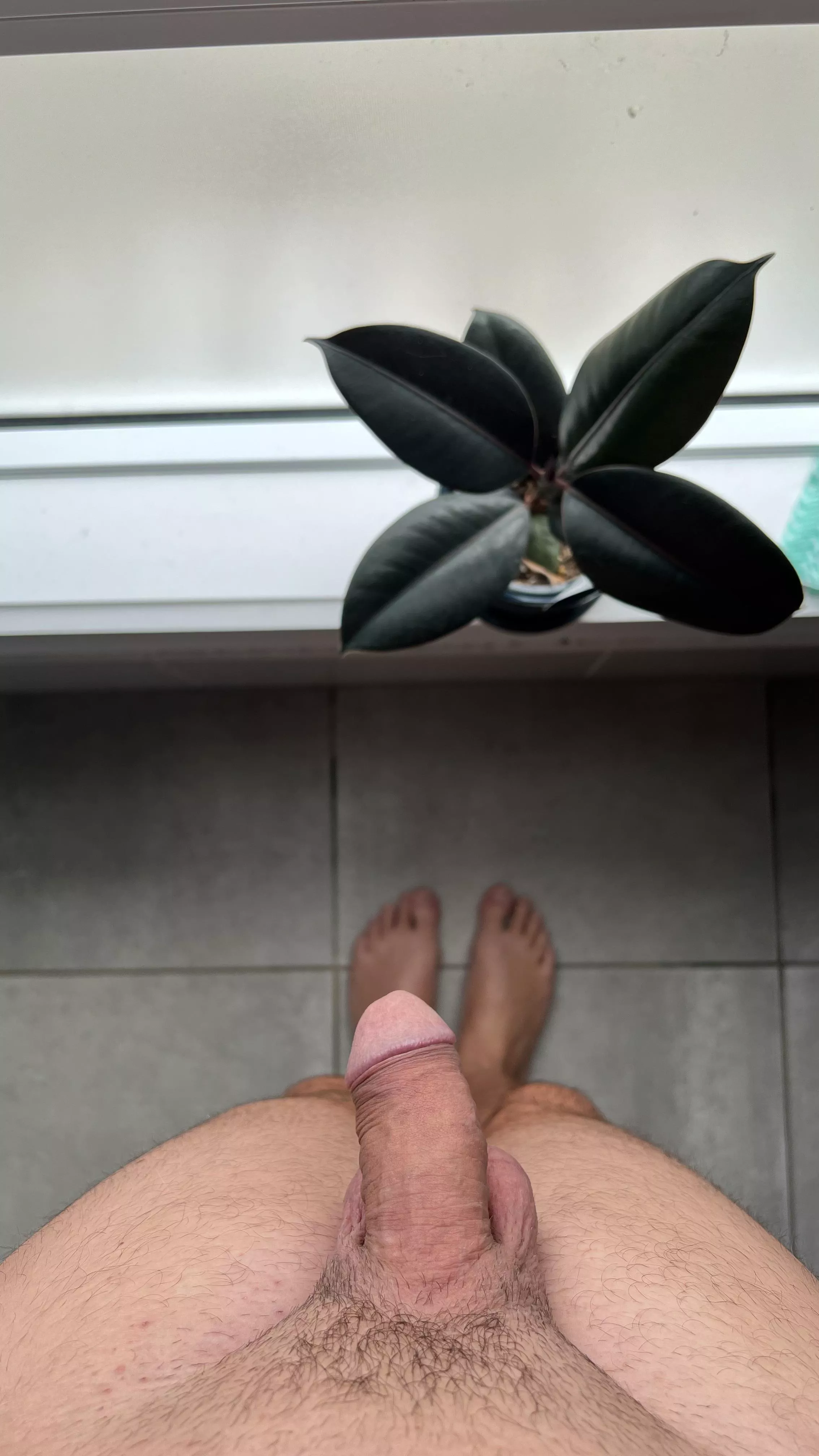 Watch me get hard by the window