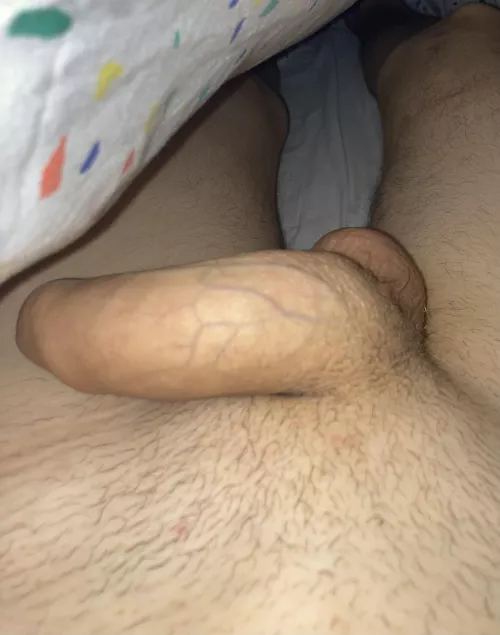 What do you do when you find this under the covers?