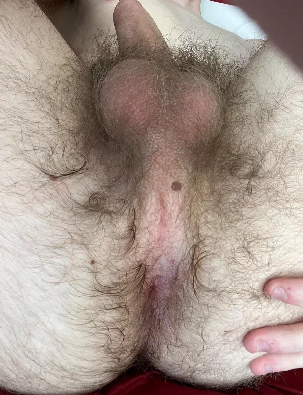 Would love someone’s face in there