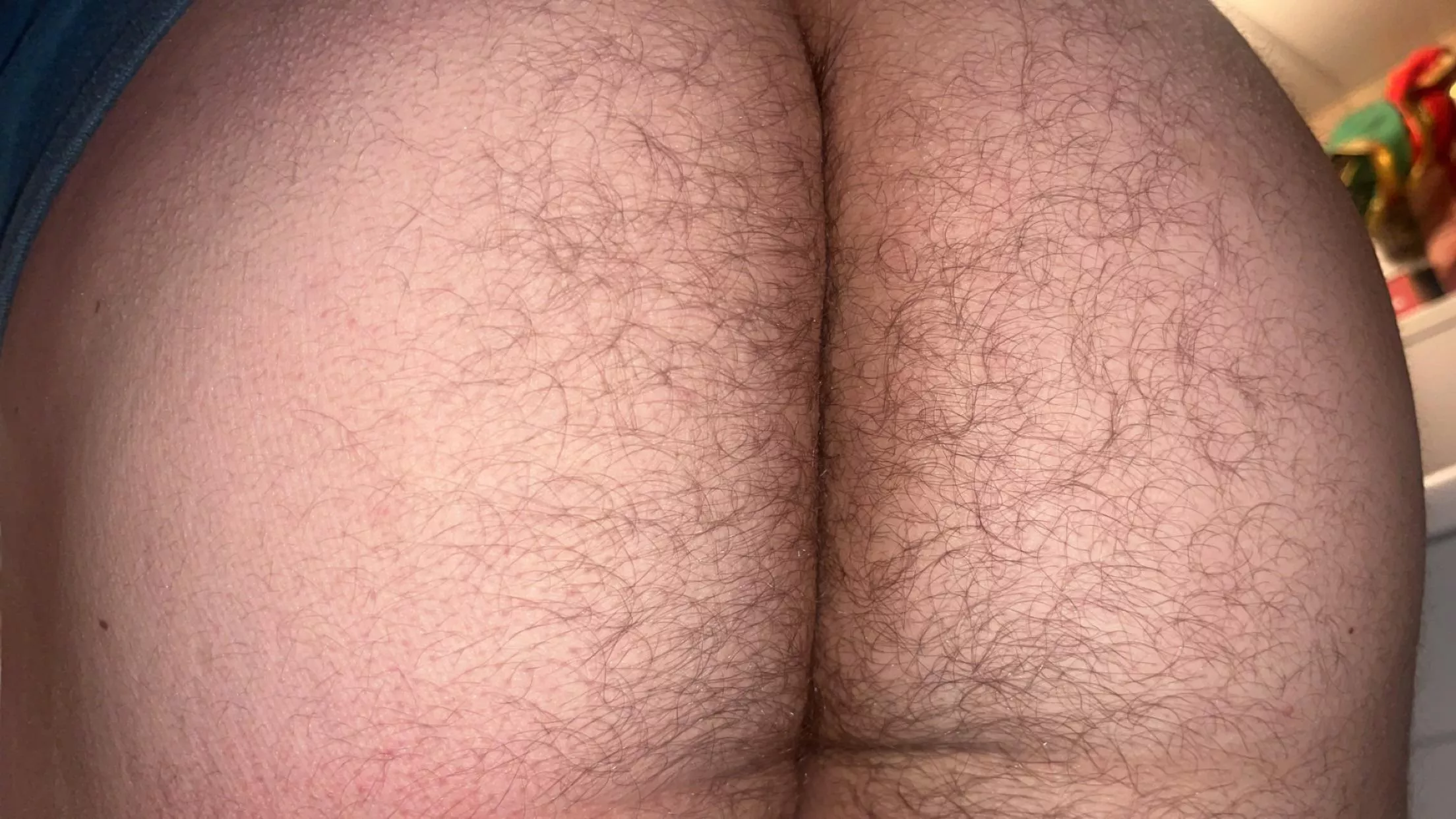 Your favorite hairy guy is back Reddit