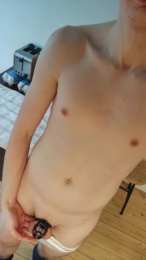 22 chastity twink looking for Twink dom