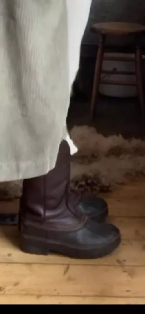 Can anyone ID these?