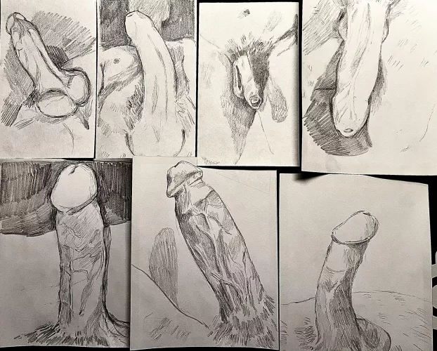 dm me for free cock drawing