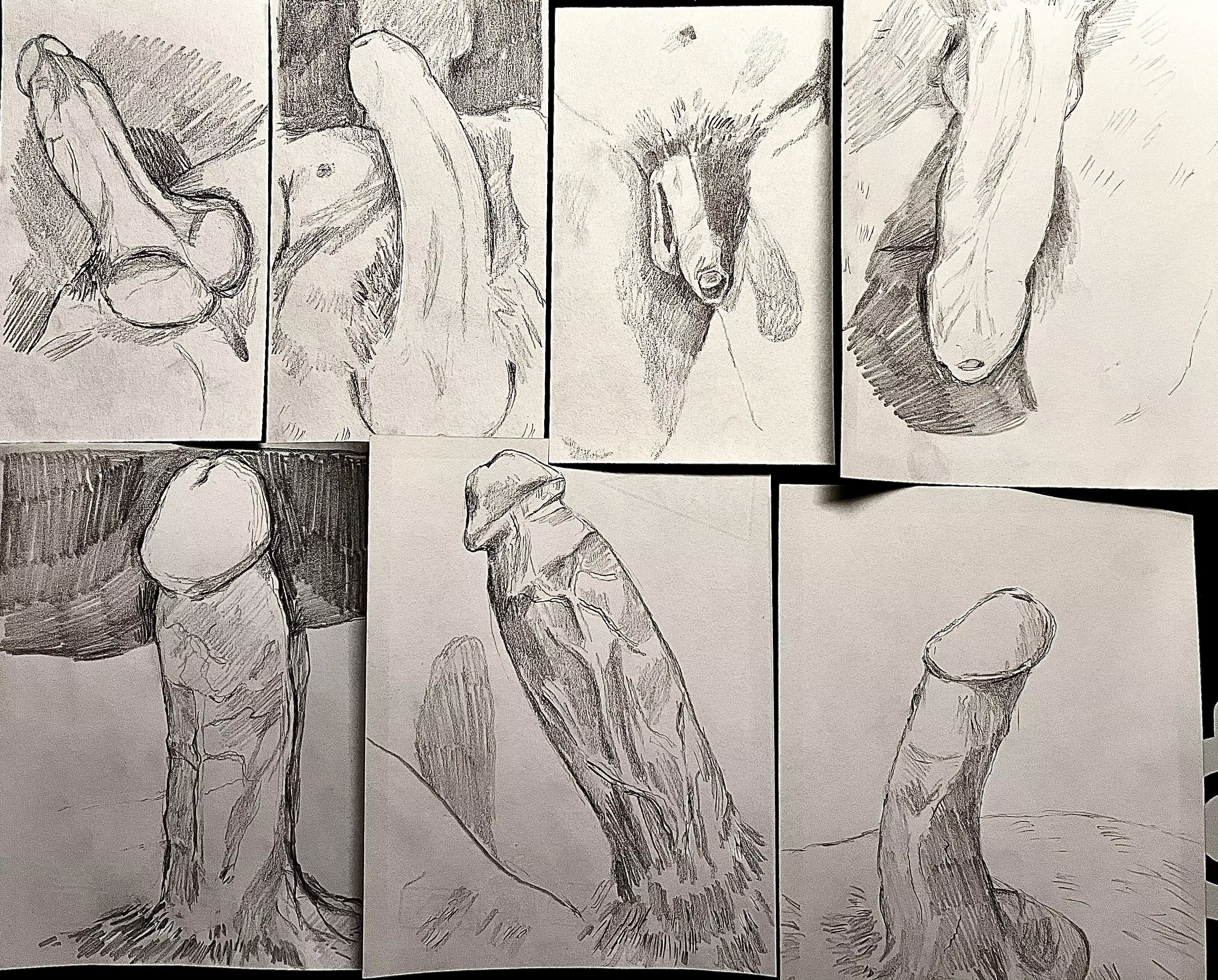 dm me for free cock drawing
