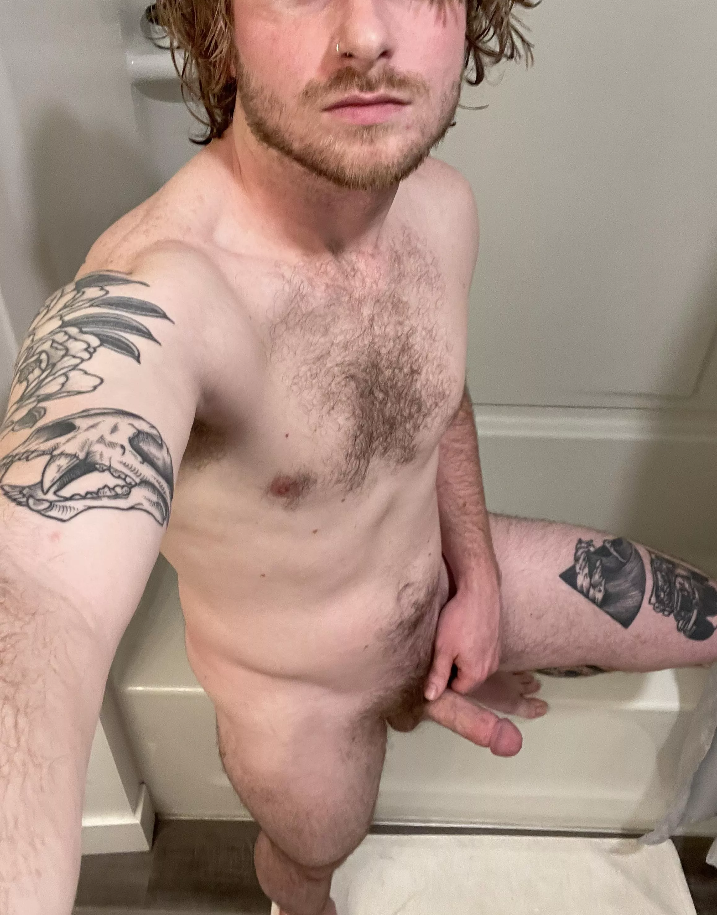 Do you like my shape?