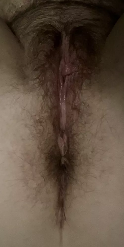 F33, 5 2”, 165