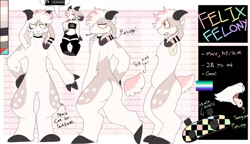 felix ref sheet i made