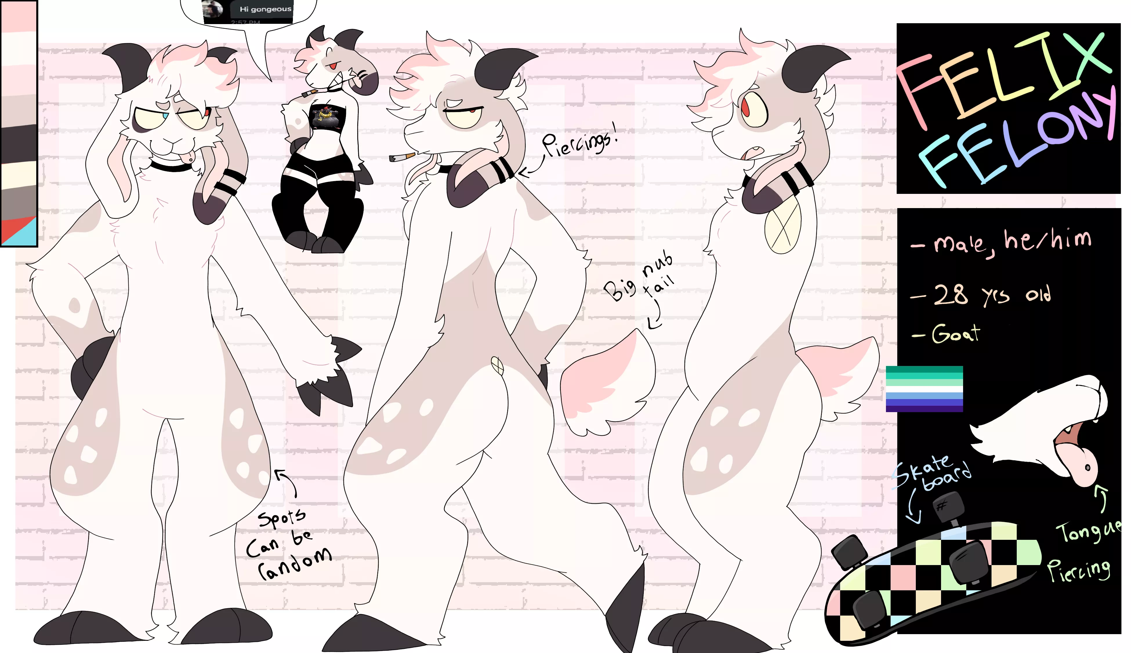 felix ref sheet i made
