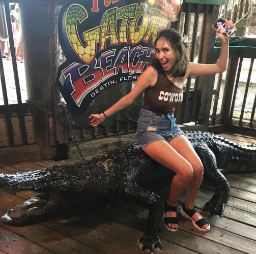 Florida gator