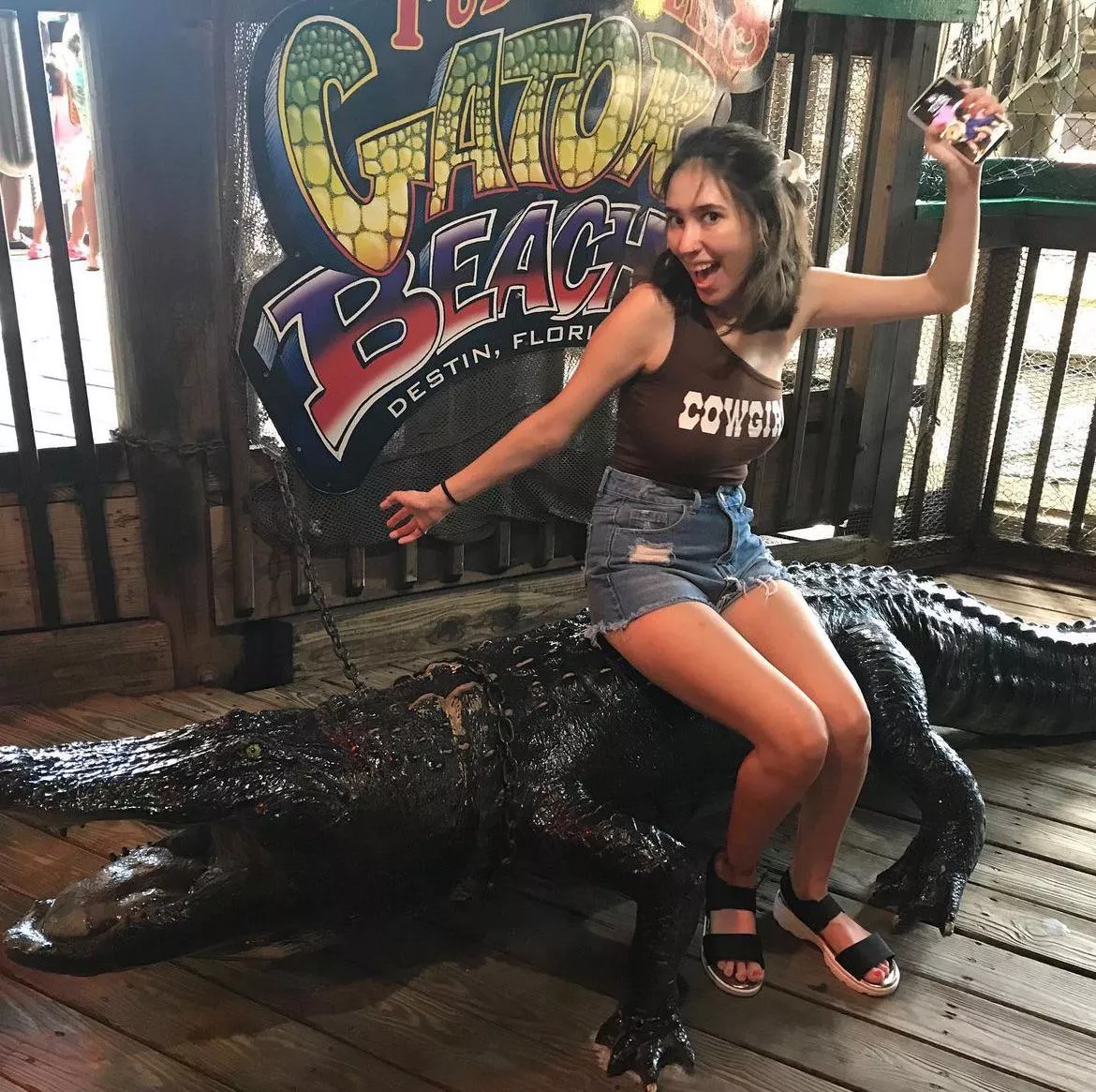 Florida gator