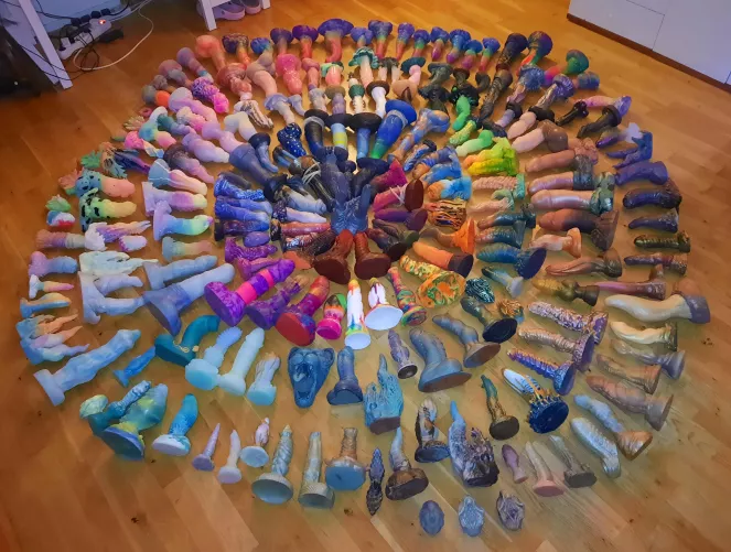 Full collection pic 2024