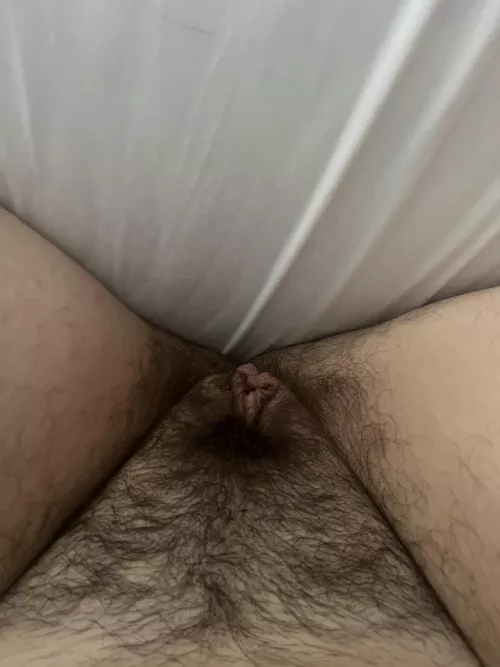 Hairy pussy from Canada