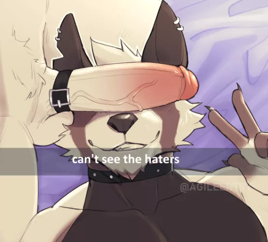 Haters Gonna Hate (AgileEntry)