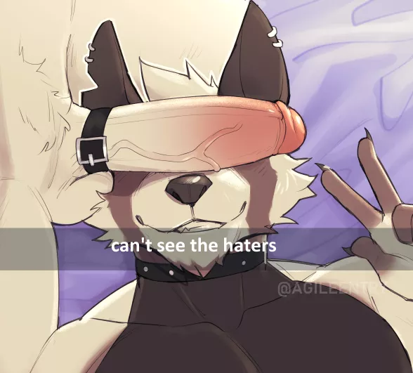 Haters Gonna Hate (AgileEntry)