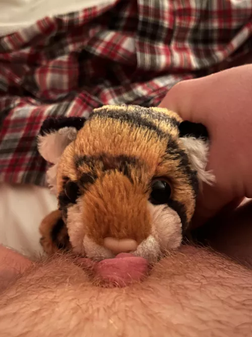 How is it? (Shaved shortly after 😅)