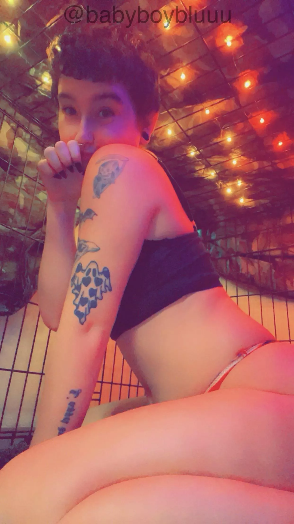 i have a cage now and my hood should be coming in soon!! so excited arf arf :3