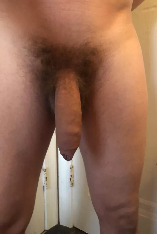 I’m just an uncut American who loves to show off