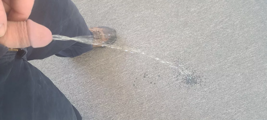 Just a little carpet piss