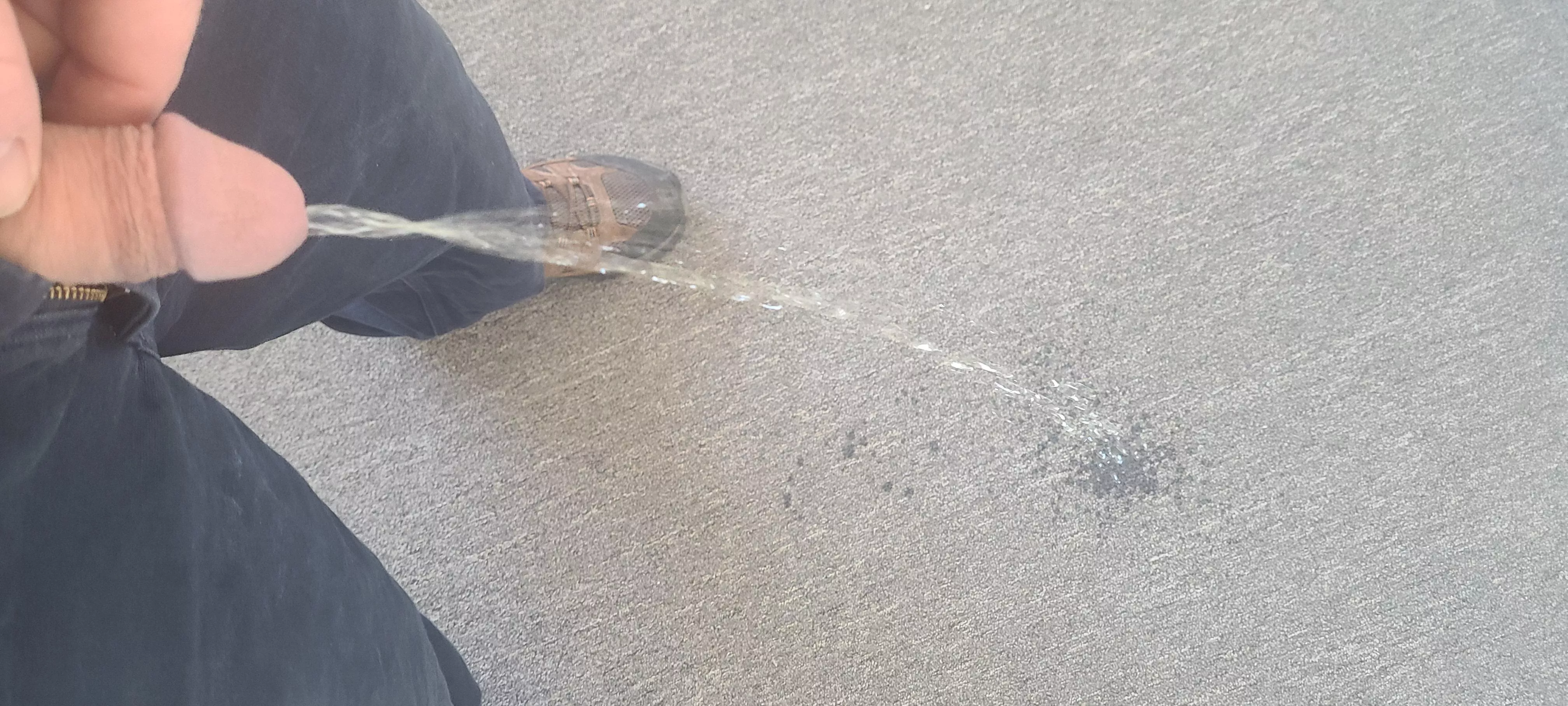 Just a little carpet piss
