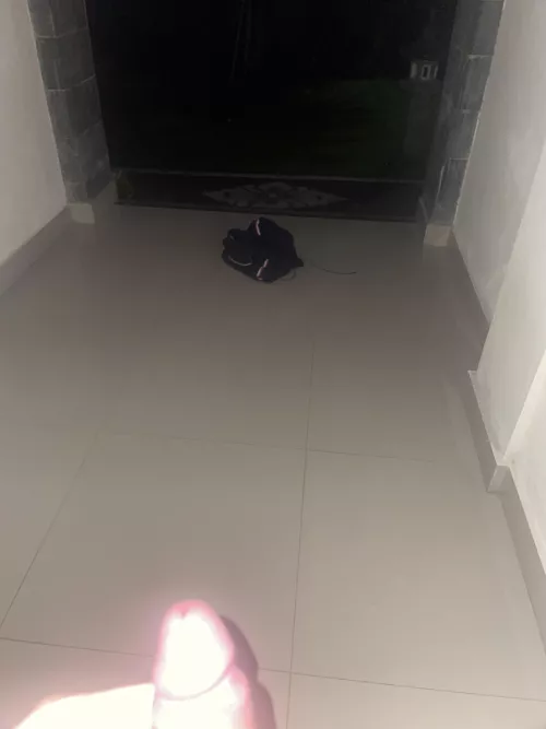 leaving pants behind public