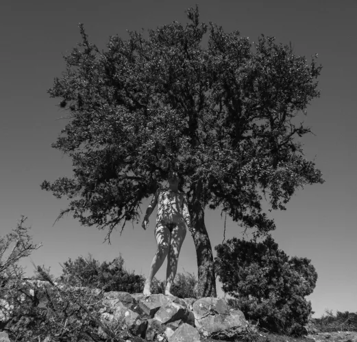 lonely tree (self shot)