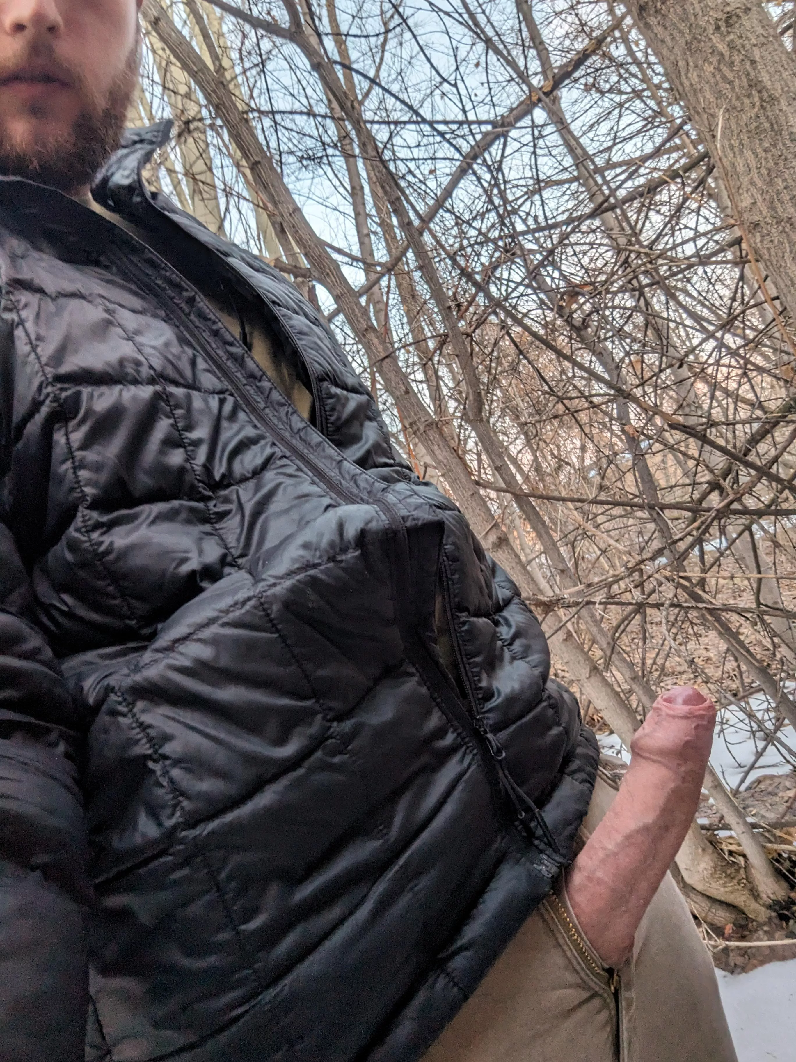 Looking for hiking partners